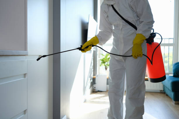 Best Black Mold Removal  in Coral Hills, MD