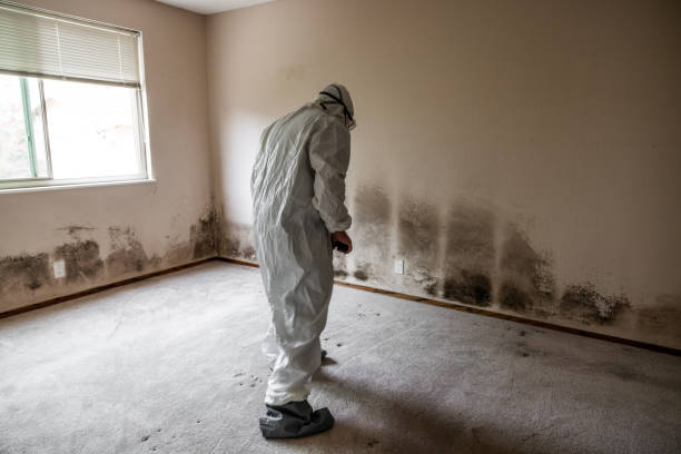 Best Crawl Space Mold Removal  in Coral Hills, MD